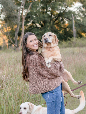 Retired Guide Dog and Ambassador Remy