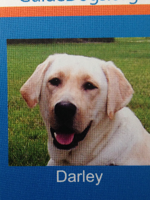 Honored to be an Ambassador for SEGD