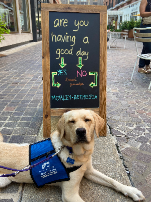 Help others to have a good day too