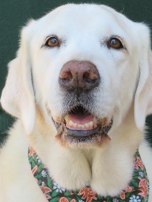 Our Ruthie