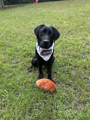 Murph - Future Superhero