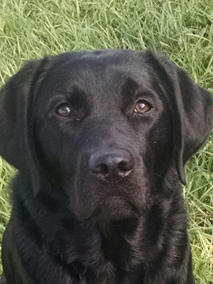 Miss Martha, the love of our life!