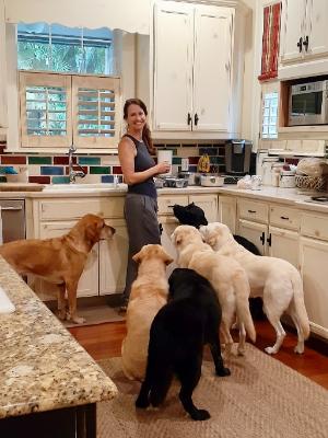 Folkman friends of Dogs Inc
