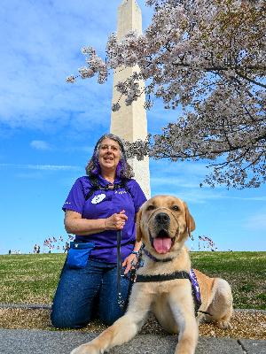 DC Pups