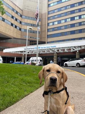Toby Tyler at Yale New Haven Hospital on a visit to see Dennis